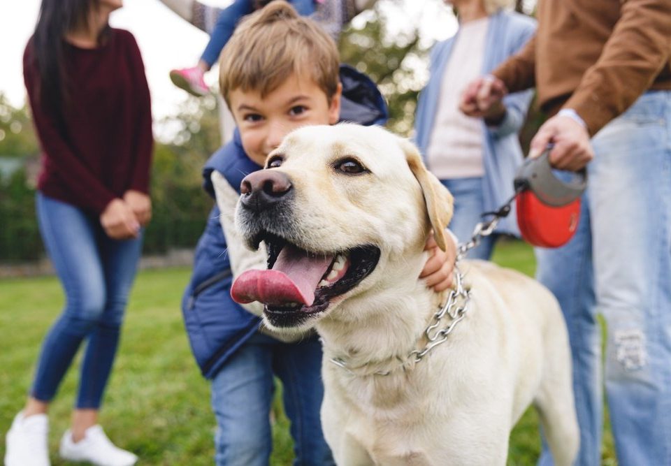 little boy with dog