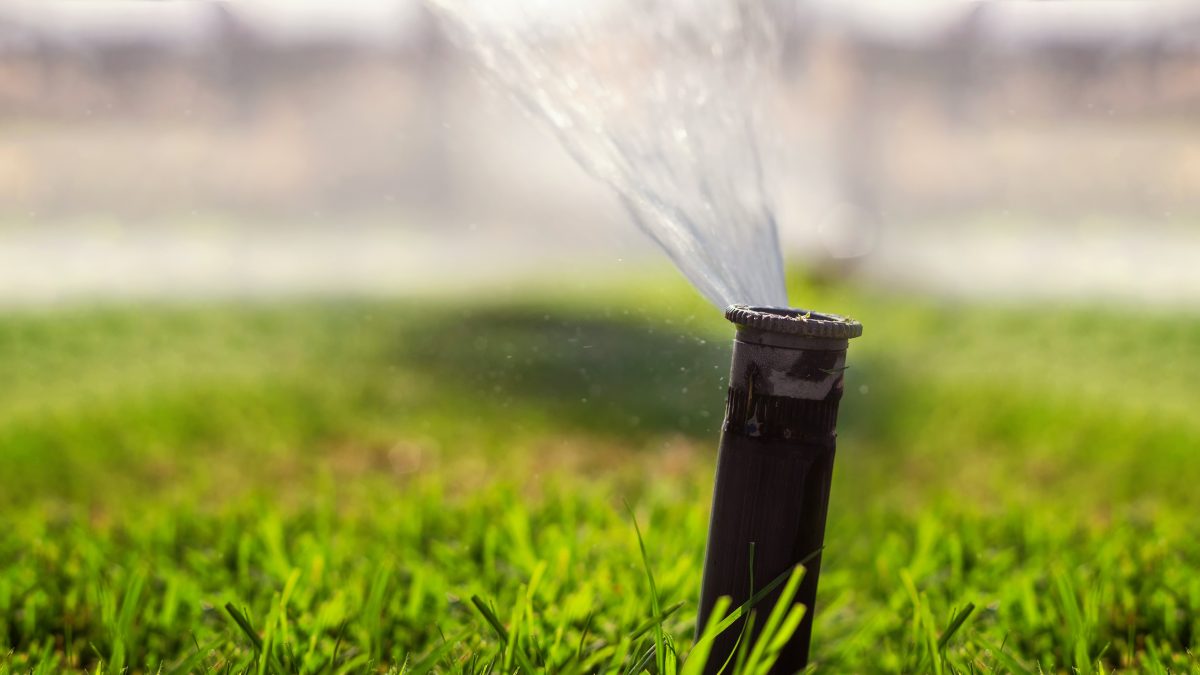 summer plumbing problems
